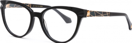 Ana Hickmann-AH6556-A01-54 - OpticZone